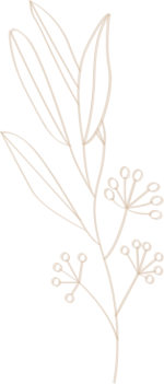 Fleur 2