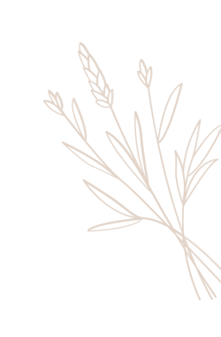 Fleur 3